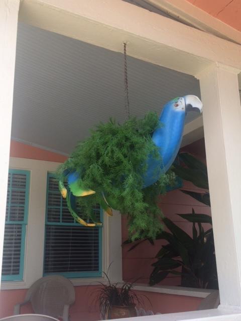 Coronado Palms Coastal Cottage 加尔维斯敦 外观 照片